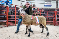 Longtown Ram Fair-21